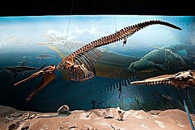 2024年TI国际邀请赛分组出炉 小组赛9月4日下午4点开打