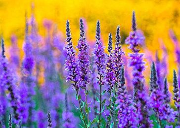 《Stormshot》steam页面上线 忽悠广告名作好评游戏版